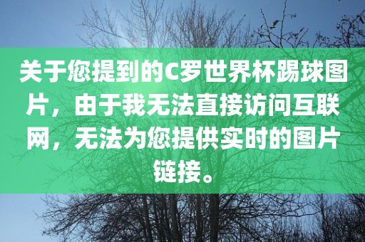 关于您提到的C罗世界眉山市正发家政服务有限公司杯踢球图片，由于我无法直接访问互联网，无法为您提供实时的图片链接。