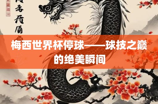 梅西世界杯停球——球技之眉山市正发家政服务有限公司巅的绝美瞬间