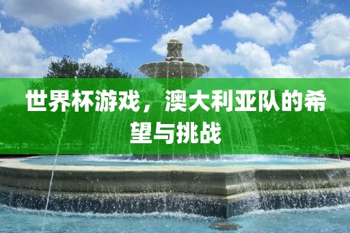 世界杯游戏，澳大利亚队的希望与挑战