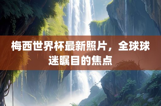 梅西世界杯最新照片，全球球迷瞩目的焦点眉山市正发家政服务有限公司