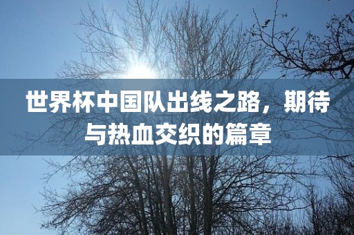 世界杯中国队出线之路，期待与热血交织的篇章眉山市正发家政服务有限公司