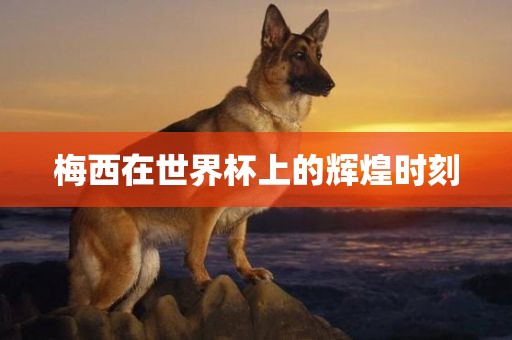 梅西在世界杯上的辉煌时刻