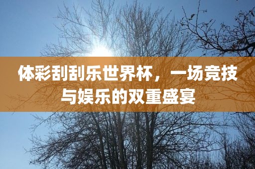 眉山市正发家政服务有限公司体彩刮刮乐世界杯，一场竞技与娱乐的双重盛宴