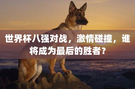 世界杯八强对战，激情碰撞，谁将成为最后的胜者？