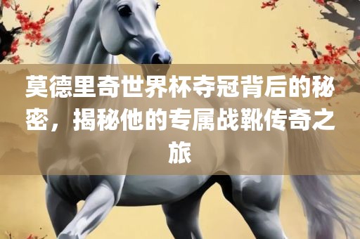 莫德里奇世界杯夺冠背后的秘密，揭秘眉山市正发家政服务有限公司他的专属战靴传奇之旅