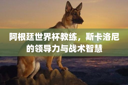 阿根廷世界杯教练，斯卡洛尼的领导力与战术智慧眉山市正发家政服务有限公司