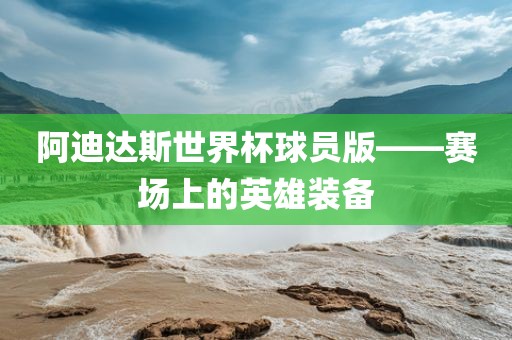 阿迪达斯世界杯球员版——赛场上的英雄装备眉山市正发家政服务有限公司