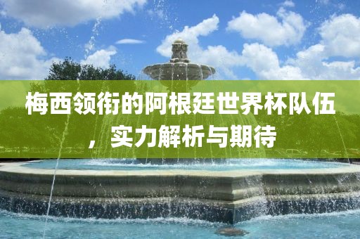 梅西领衔的阿根廷世界杯队伍，实力解析与期待
