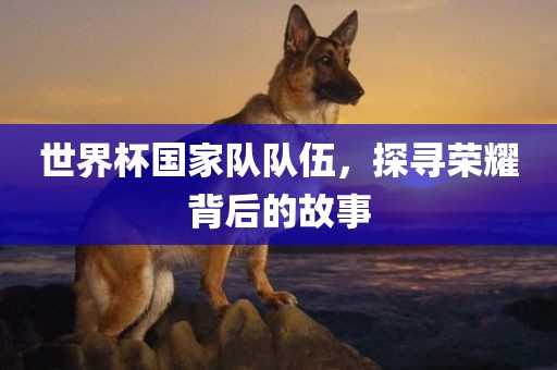 世界杯国家队队伍，探寻荣耀背后的故事