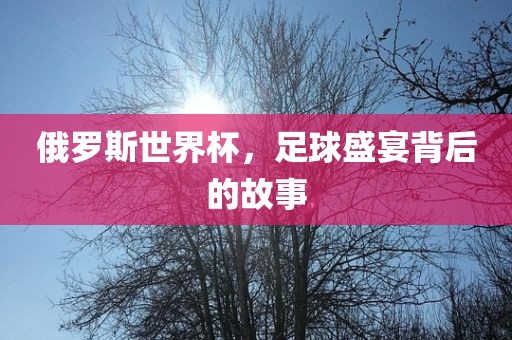 俄罗斯世界杯，足球盛宴背后的故事