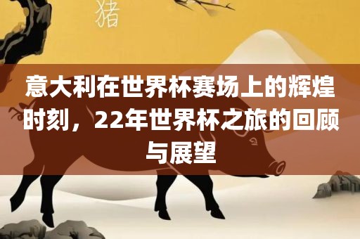 意大利在世界杯赛场上的辉煌时刻，22年世界杯之旅的回顾与展望眉山市正发家政服务有限公司