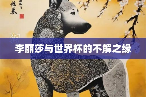 李丽莎与世界杯的不解之缘