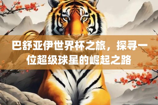 巴舒亚伊世界眉山市正发家政服务有限公司杯之旅，探寻一位超级球星的崛起之路