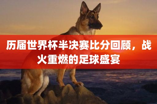 历届世界杯半决赛比分回顾，战火重燃的足球盛宴眉山市正发家政服务有限公司