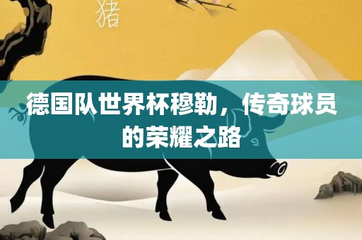 德国队世界杯穆勒，传奇球员的荣耀之路