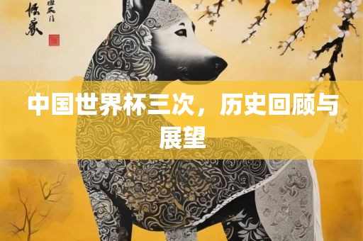 中国世界杯三次，历史回顾与展望