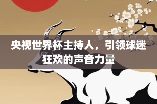 央视世界杯主持人，引领球迷狂欢的声音力量眉山市正发家政服务有限公司