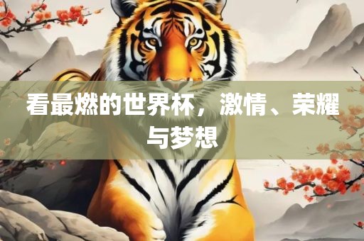 看最燃的世界杯，激情、荣耀与梦想