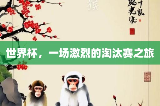 世界杯，一场激烈的淘汰赛之旅眉山市正发家政服务有限公司