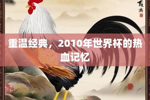 重温经典，2010年世界杯的热血记忆眉山市正发家政服务有限公司