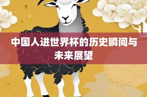 中国人进世界杯的历史瞬间与未来展望