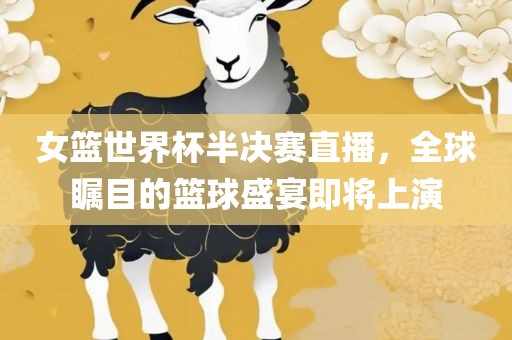 女篮世界杯半决赛直播，全球瞩目的篮球盛宴即将上演眉山市正发家政服务有限公司