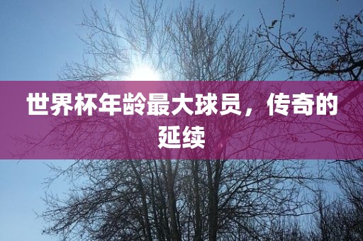 世界杯年龄最大球员，传奇的延续眉山市正发家政服务有限公司