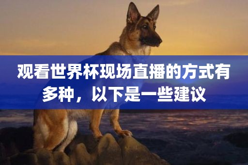 观看世界杯现场直播的方式有多种，以下是一些建议