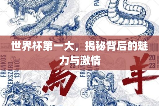 世界杯第一大，揭秘背后的魅力与激情