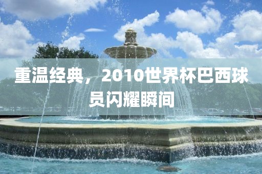 重温经典，2010世界杯巴西球员闪耀瞬间眉山市正发家政服务有限公司