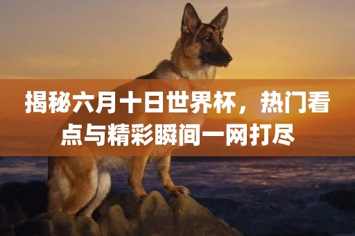 揭秘六月十日世界杯，热门看点与精彩瞬间一网打尽眉山市正发家政服务有限公司