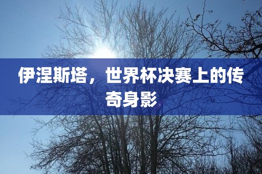 伊涅斯塔，世界杯决赛上的传奇身影