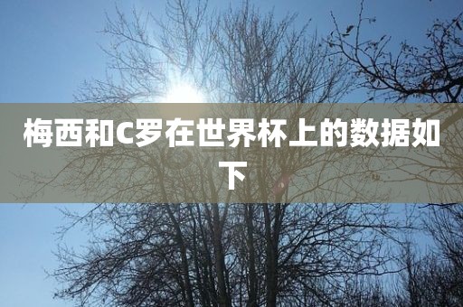 梅西和C罗在世界杯上的数据如下眉山市正发家政服务有限公司