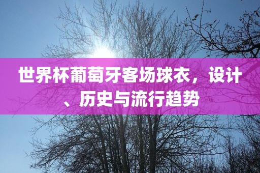 世界杯葡萄牙客场球衣，设计眉山市正发家政服务有限公司、历史与流行趋势