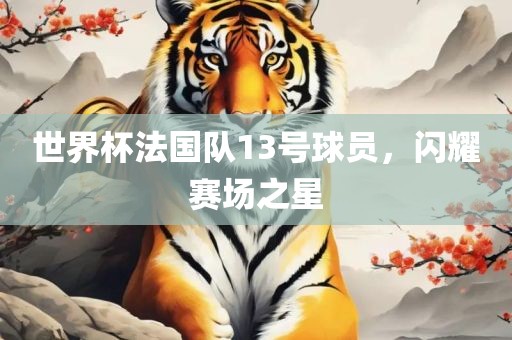 世界杯法国队13号球员，闪耀赛场之星