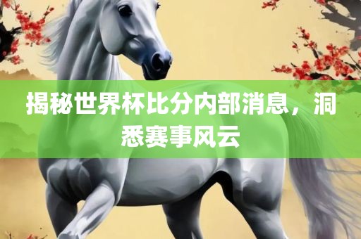 揭秘世界杯比分内部消息，洞悉赛事风云