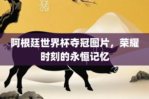 阿根廷世界杯夺冠图片，荣耀时刻的永恒记忆