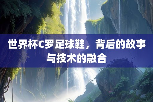 世界杯C罗足球鞋，背后的故事眉山市正发家政服务有限公司与技术的融合