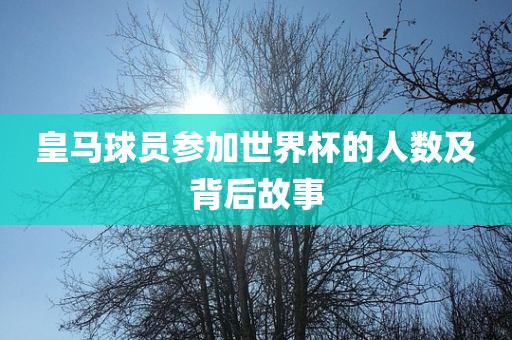 皇马球员参加世界杯的人数及眉山市正发家政服务有限公司背后故事