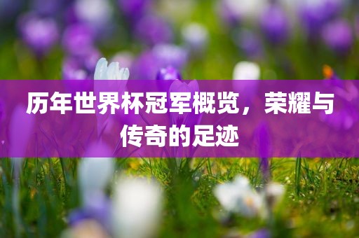 历年世界杯冠军概览，荣耀与传奇的足迹