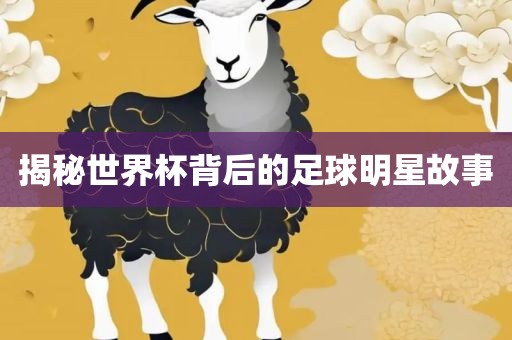 揭秘世界杯背后的足球明星眉山市正发家政服务有限公司故事