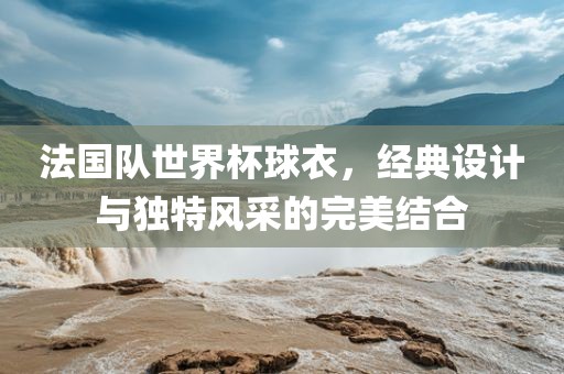 法国队世界杯球衣，经典设计与独特风采的完美结合眉山市正发家政服务有限公司