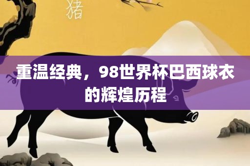 重温经典，98世界杯巴西球衣的辉煌历程眉山市正发家政服务有限公司