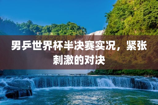 男乒世界杯半决赛实况，紧张刺激的对决眉山市正发家政服务有限公司