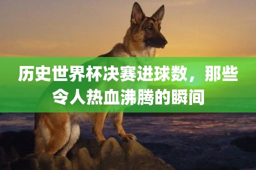 历史世界杯决赛进球数，那些令人热血沸腾的瞬间