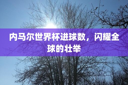 内马尔世界杯进球数，闪耀全球的壮举眉山市正发家政服务有限公司