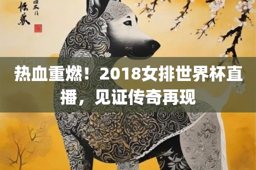 热血重燃！2018女排世界杯直播，见证传奇再现