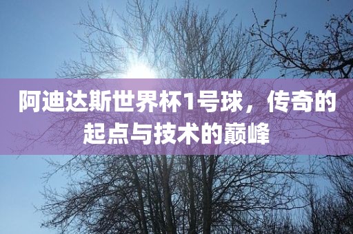 阿迪达斯世界杯1号球，传奇的起点与技术的巅峰眉山市正发家政服务有限公司