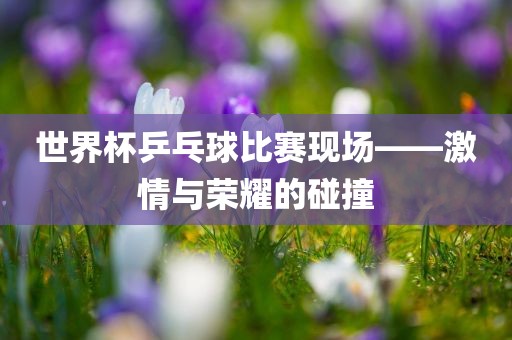 世界杯乒乓球比赛现场——激情与荣耀的碰撞