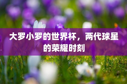 大罗小罗的世界杯，两代球星的荣耀时刻